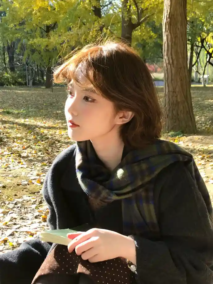 国王万岁游戏界面